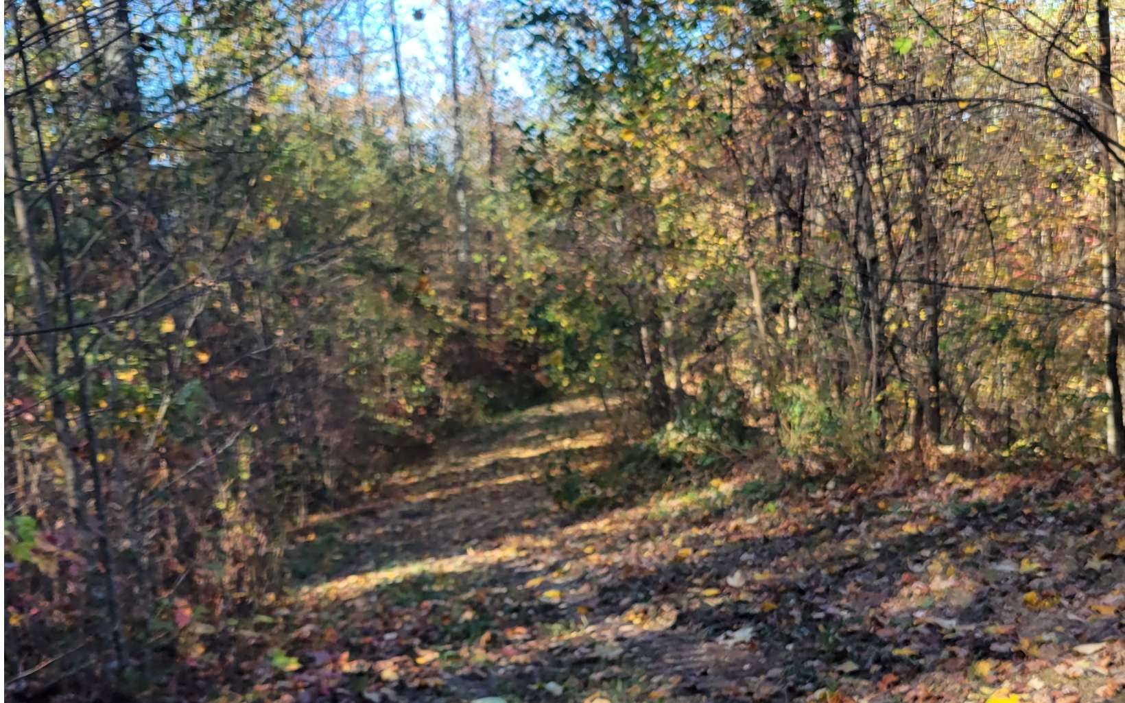 Ellijay, GA 30540,8 AC Old Burnt Mountain