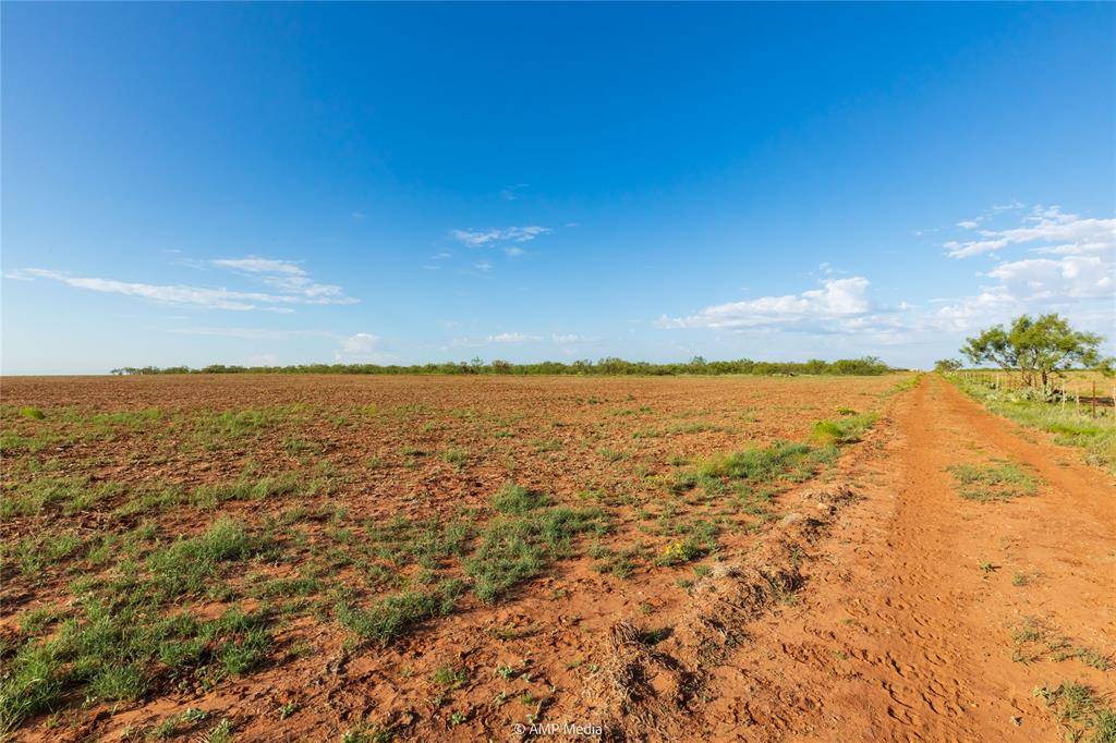 Colorado City, TX 79512,TBD CR 252