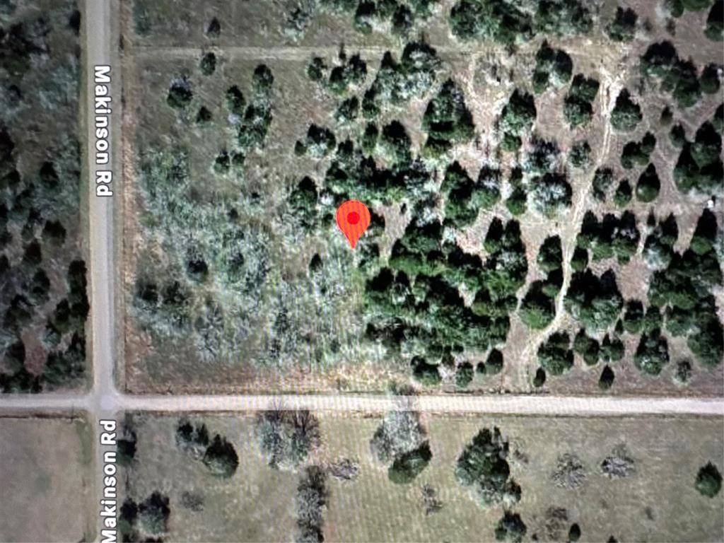 No City, TX 78963,TBD Makinson Road