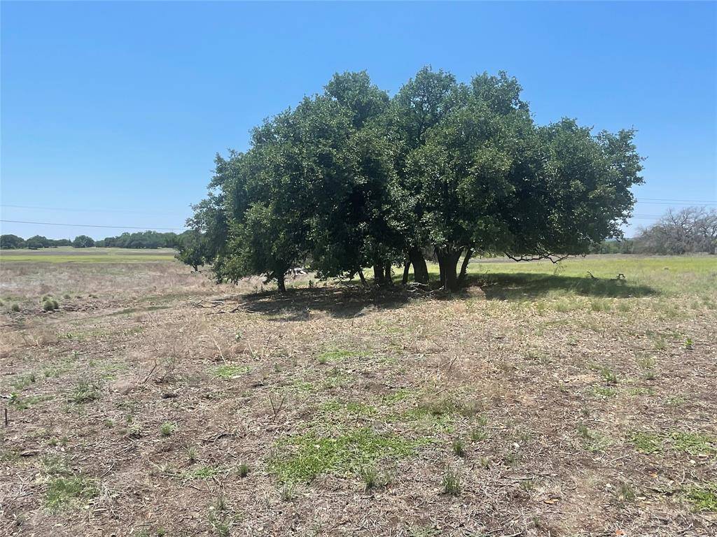 Goldthwaite, TX 76844,TBD County Road 338