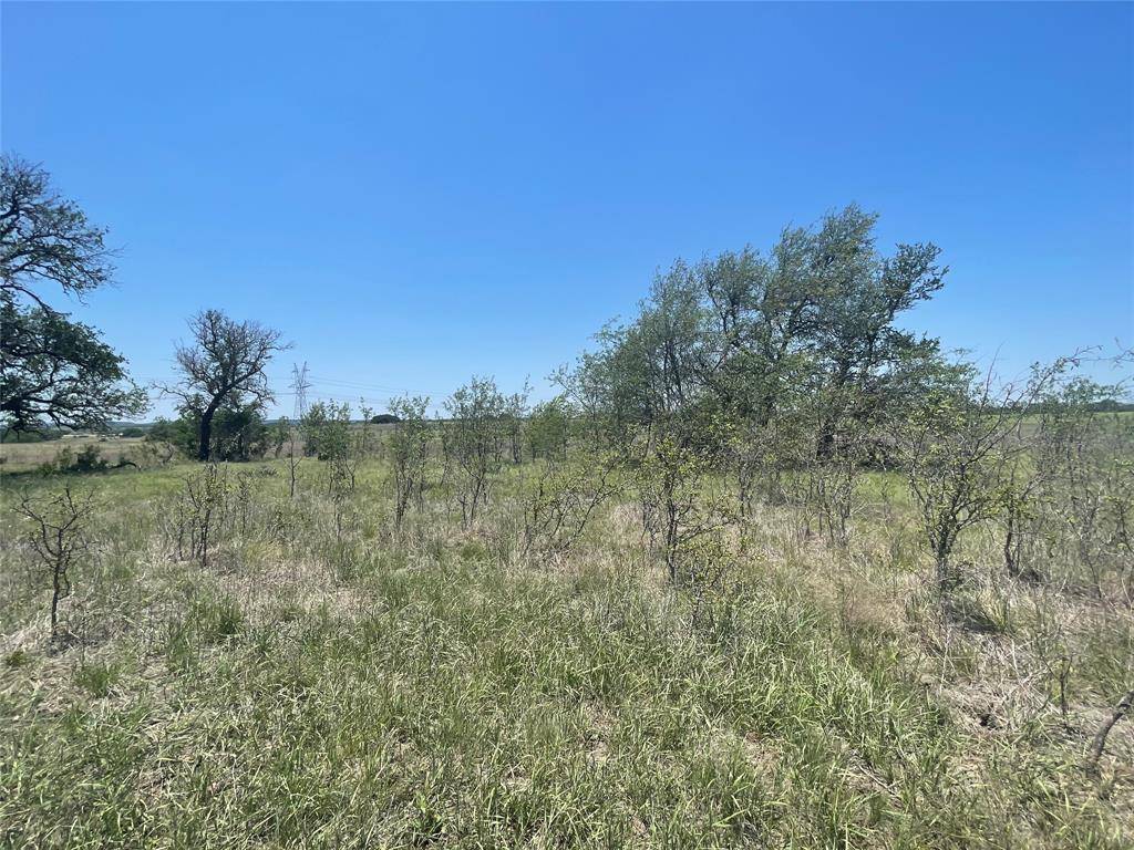 Goldthwaite, TX 76844,TBD CR 338