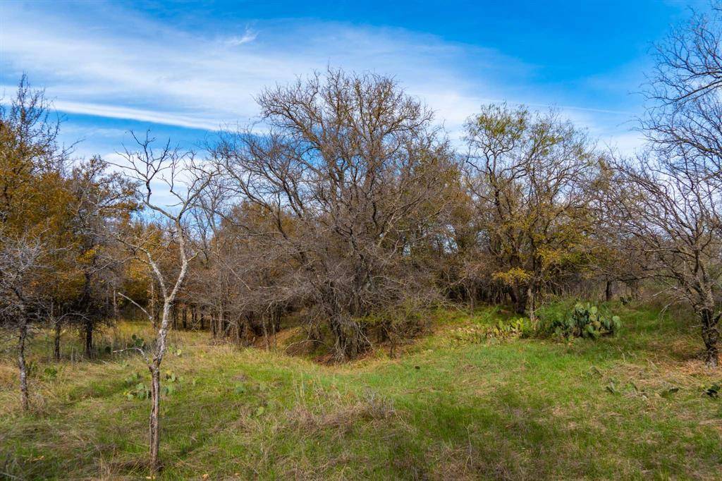 Putnam, TX 79469,TBD Access I 20