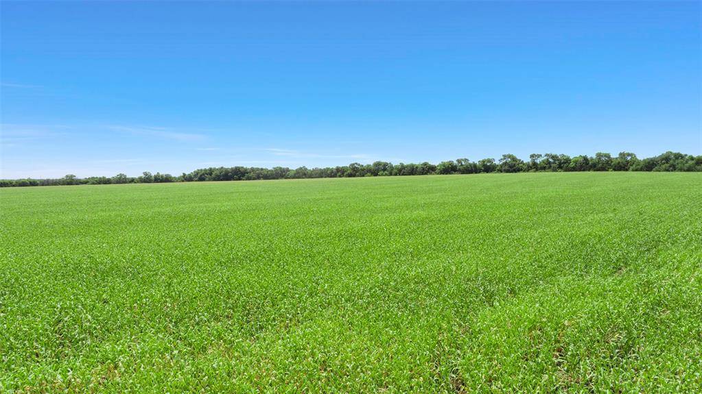 Greenville, TX 75401,104.98 acres CR-1067