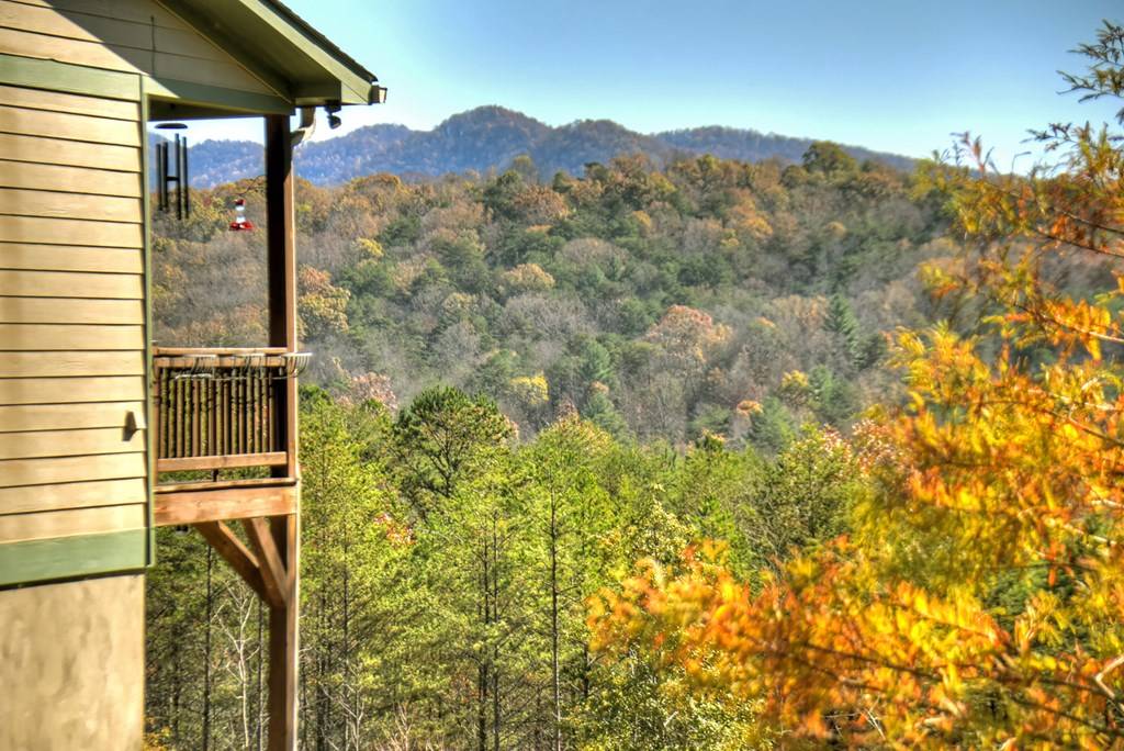 Blairsville, GA 30512,1183 Barnes Creek Road