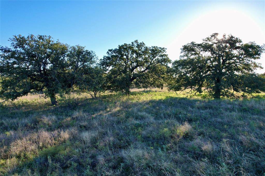 Cisco, TX 76437,TBD County Road 579