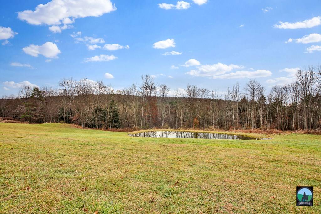 Lawrenceville, PA 16929,1732 Buckwheat Hollow Road