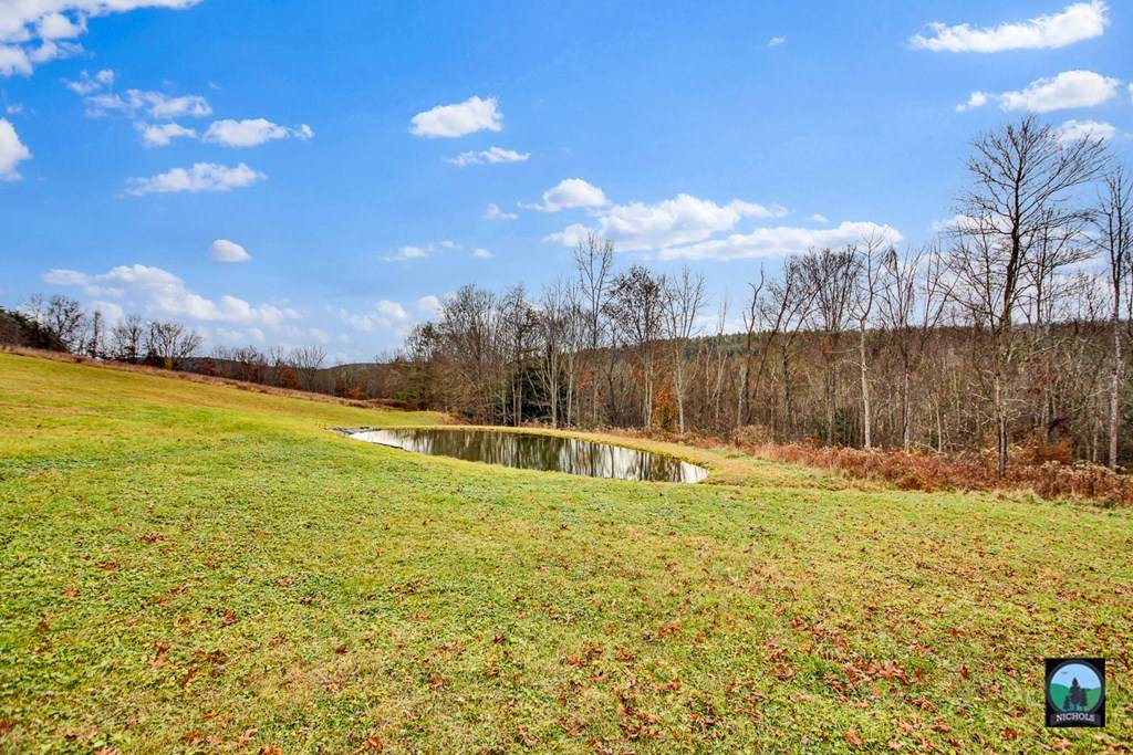 Lawrenceville, PA 16929,1732 Buckwheat Hollow Road