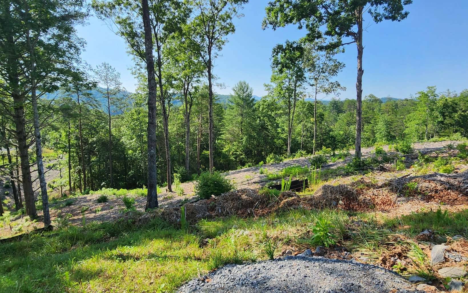 Mineral Bluff, GA 30559,LOT 18 Mountain Laurel Ridge