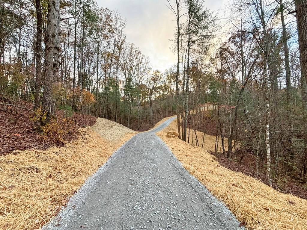 Ellijay, GA 30540,Lot 4 Mt. Springer Road