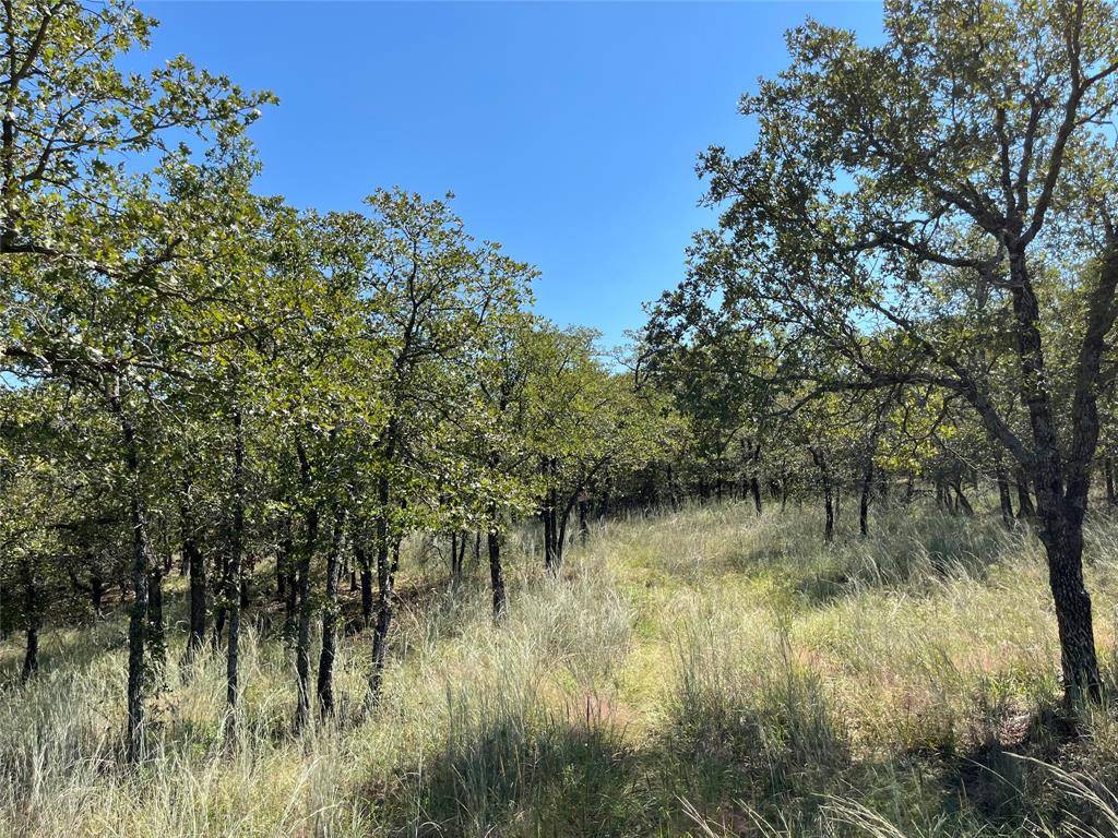 Bowie, TX 76230,lot 431 Bluffs Avenue