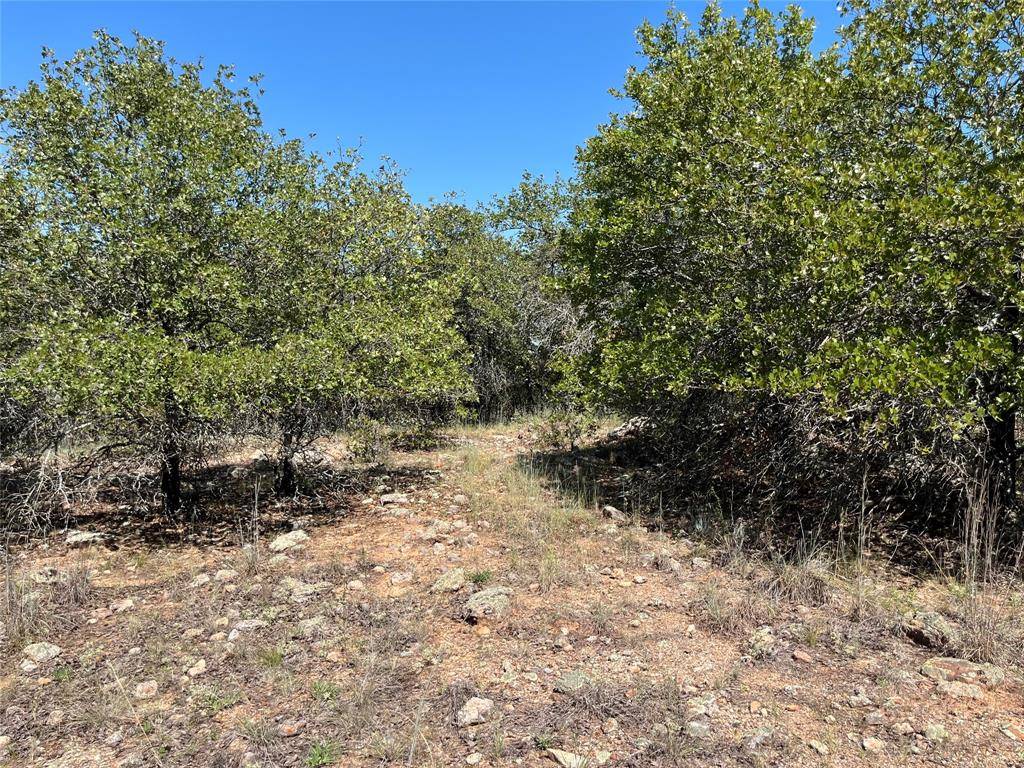 Bowie, TX 76230,lot 431 Bluffs Avenue