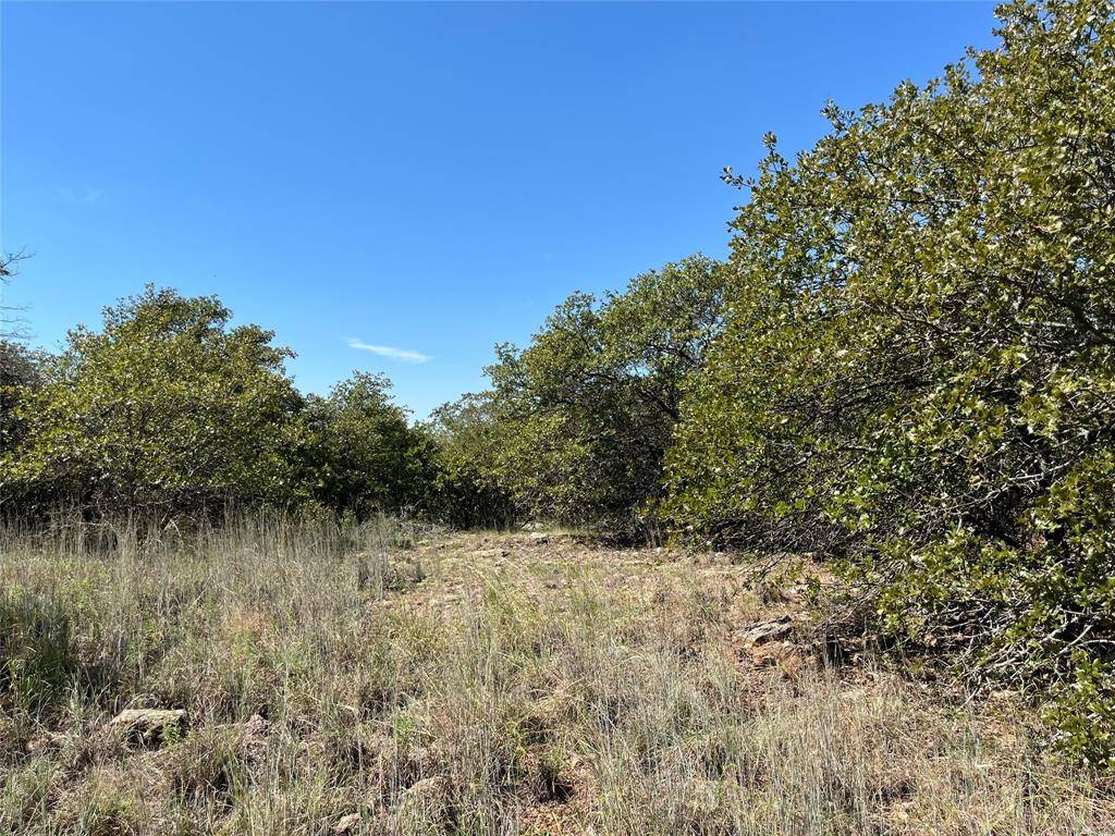 Bowie, TX 76230,lot 431 Bluffs Avenue