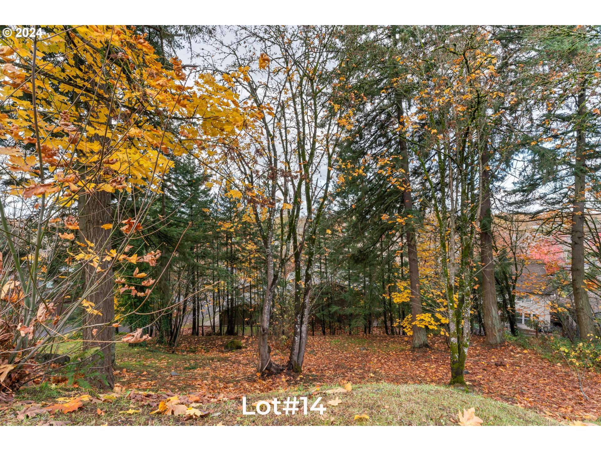 Eugene, OR 97401,Stonecrest DR #Lot #14