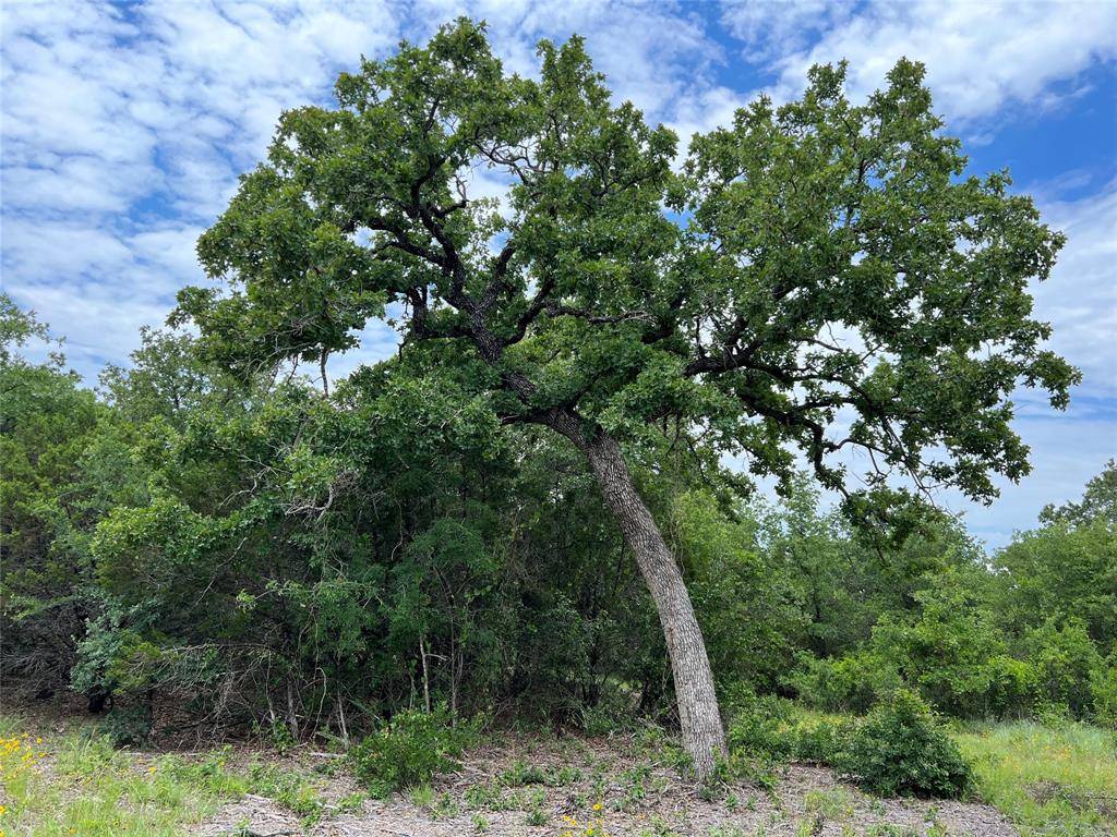 Santo, TX 76484,TBD W New Hope Road