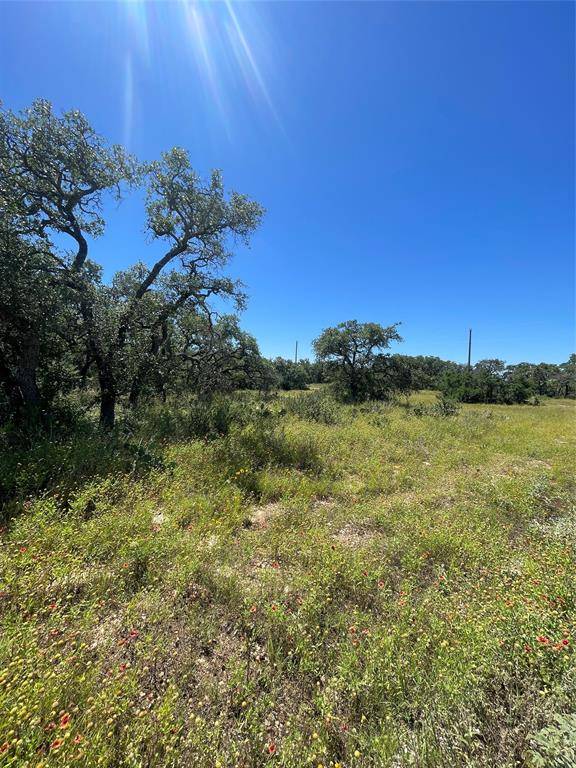 Brownwood, TX 76801,1064 Overlook Drive