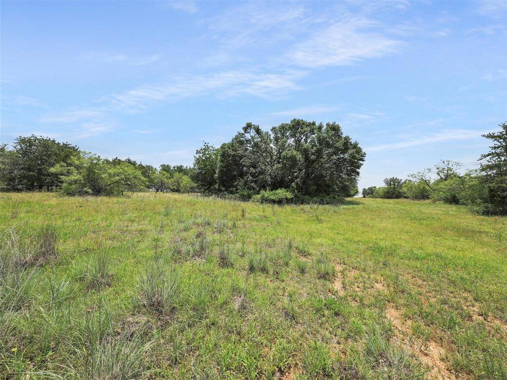 Weatherford, TX 76088,TBD Ellis Road