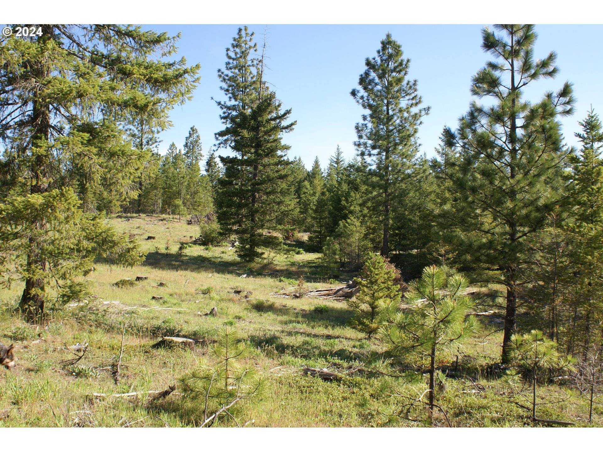 Goldendale, WA 98620,Lot 5 Rangers Meadow RD #5