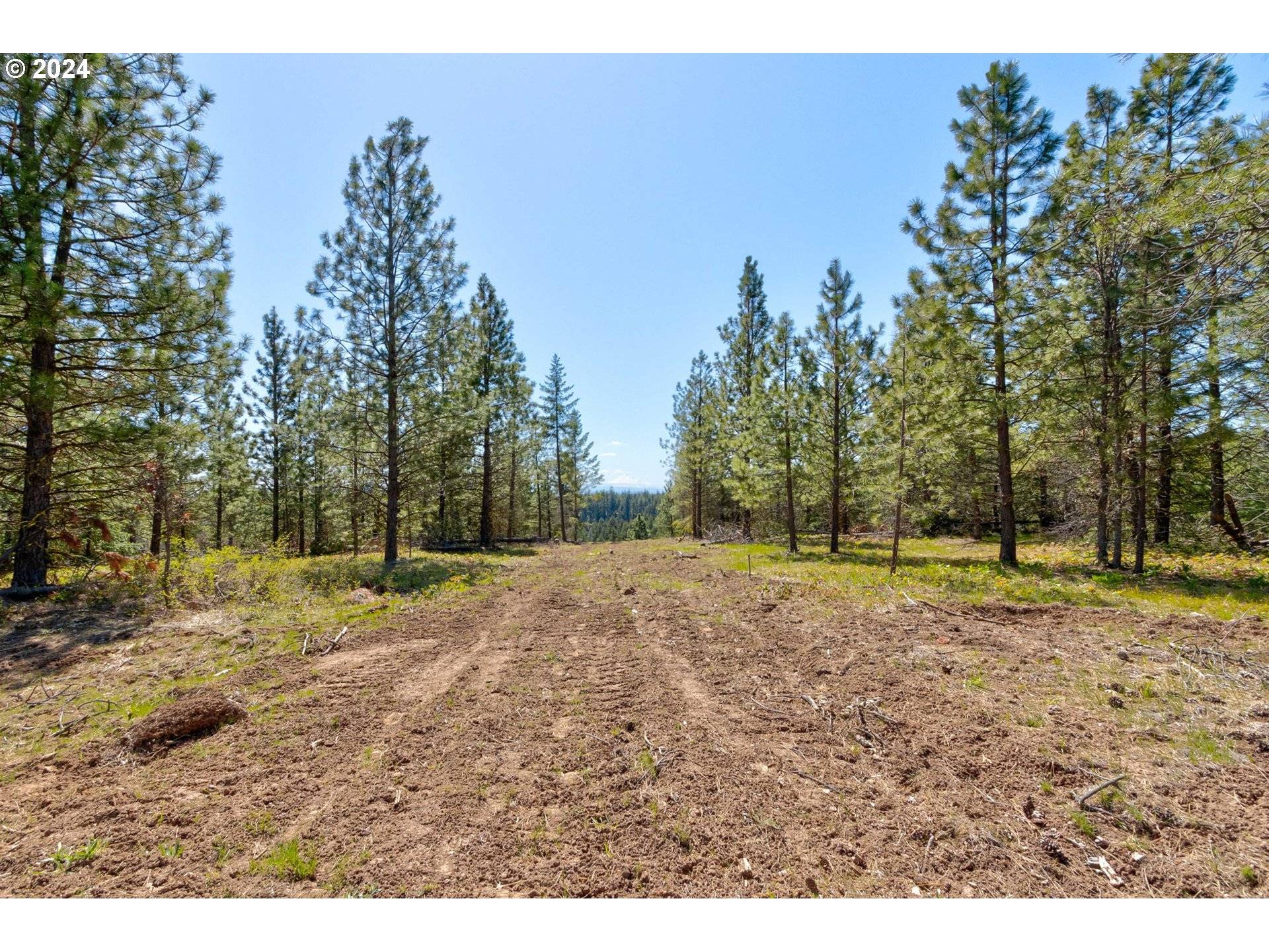 Goldendale, WA 98620,Lot 5 Rangers Meadow RD #5