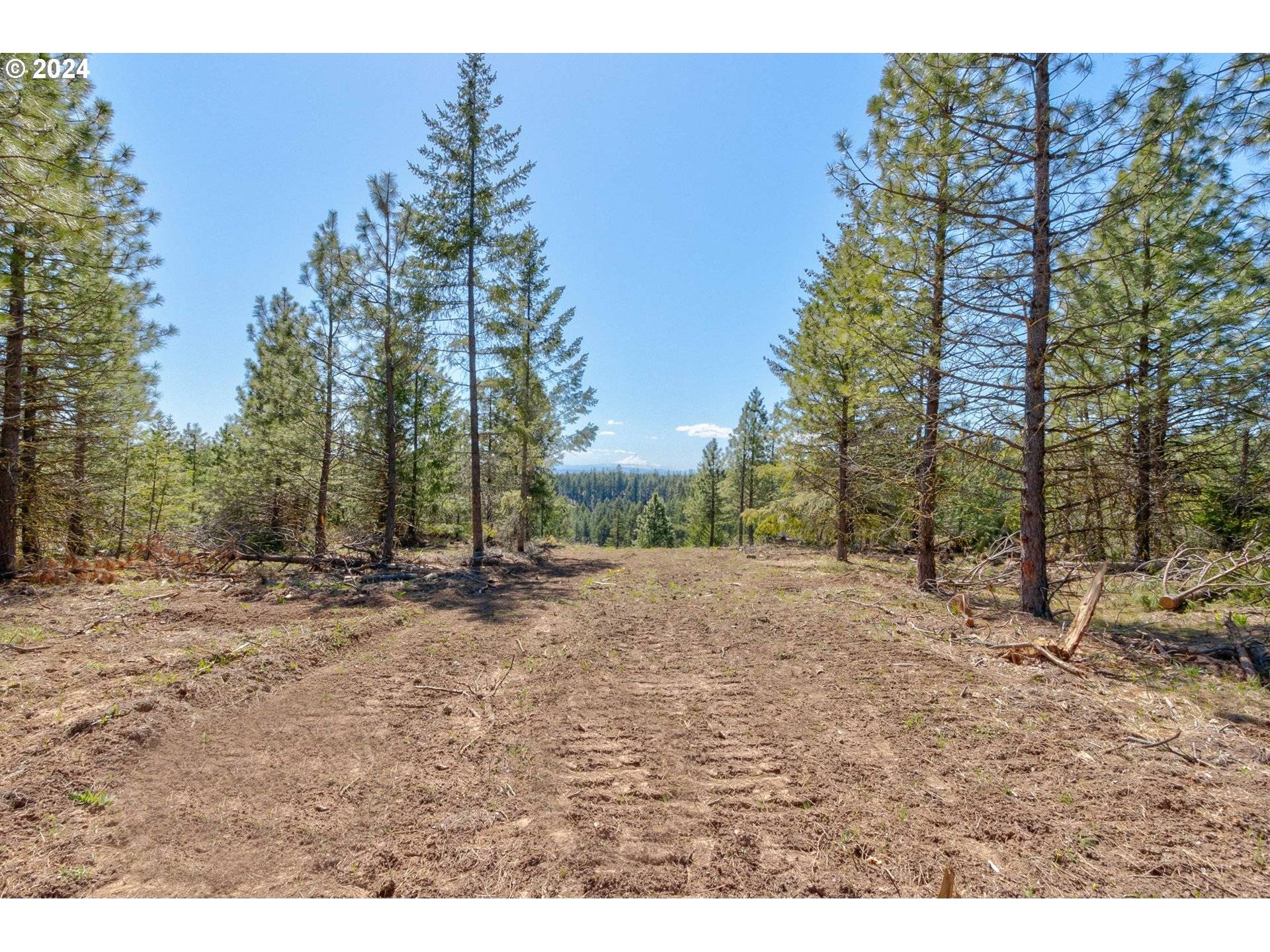 Goldendale, WA 98620,Lot 5 Rangers Meadow RD #5