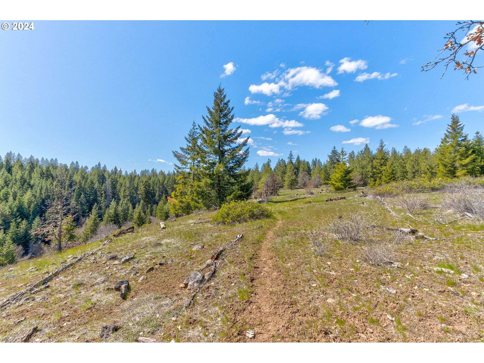 Goldendale, WA 98620,Lot 5 Rangers Meadow RD #5