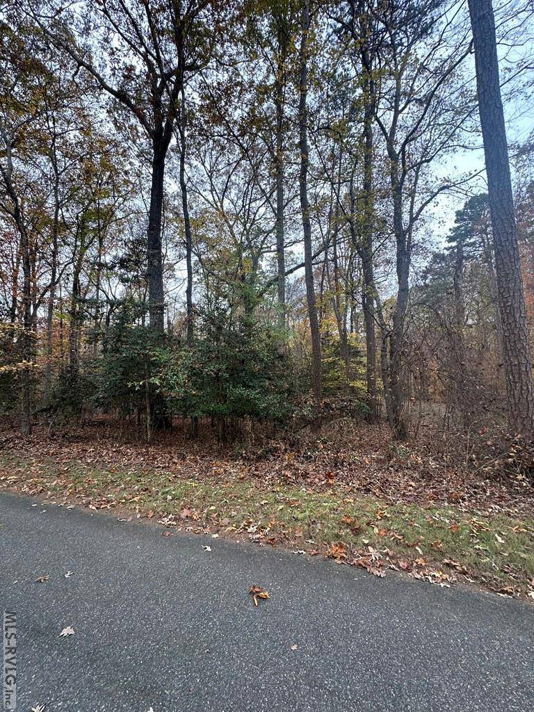 Clarksville, VA 23927,LOT 42 Lewis Drive