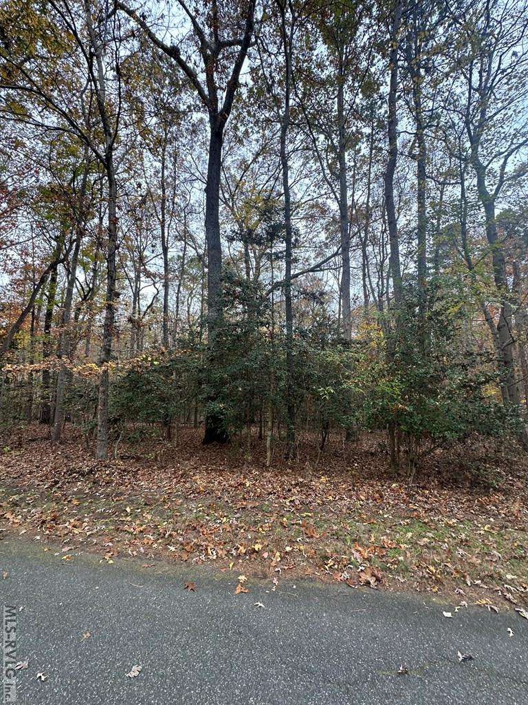 Clarksville, VA 23927,LOT 42 Lewis Drive