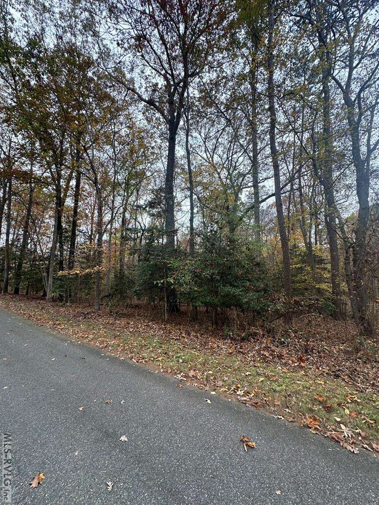 Clarksville, VA 23927,LOT 42 Lewis Drive