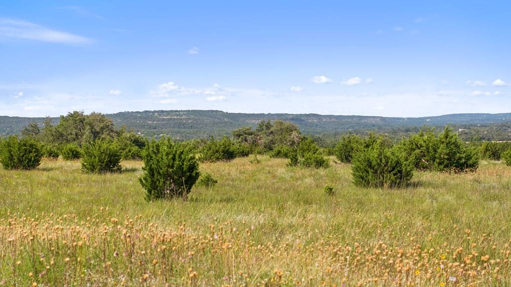 Dripping Springs, TX 78620,Tract 2 W US Hwy 290