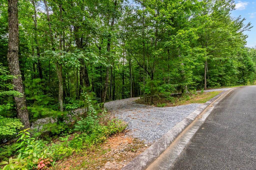 Ellijay, GA 30540,LOT 9-10 Abbott Mill Road