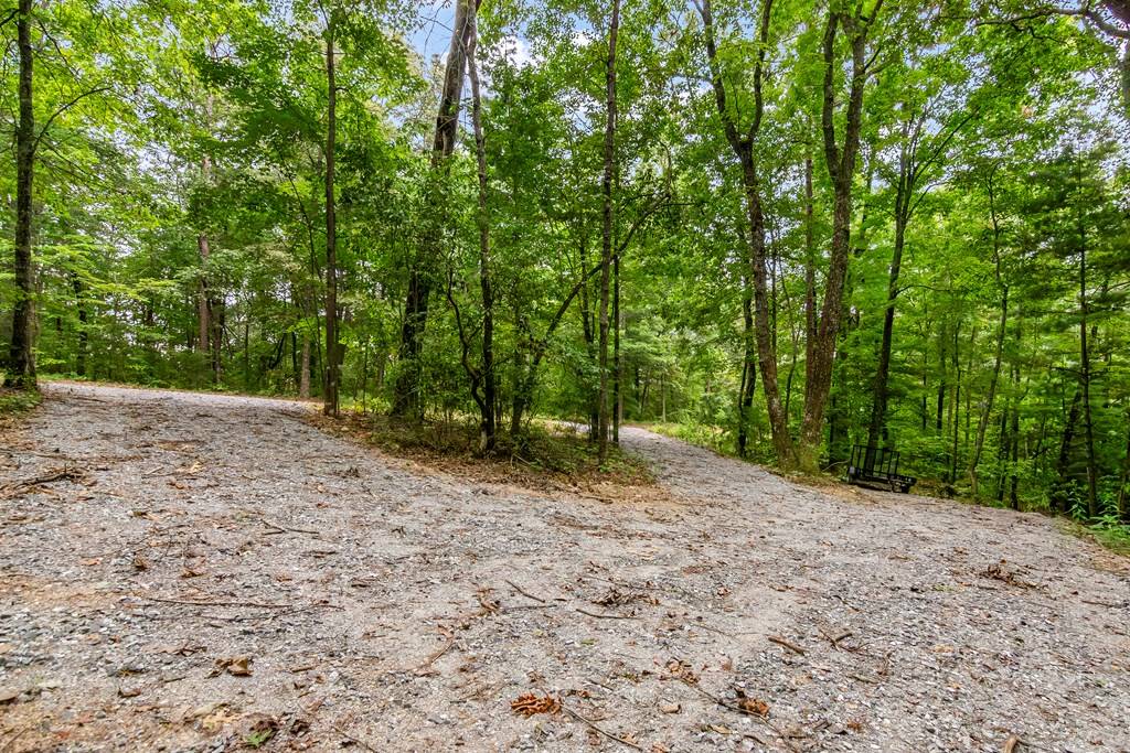 Ellijay, GA 30540,LOT 9-10 Abbott Mill Road