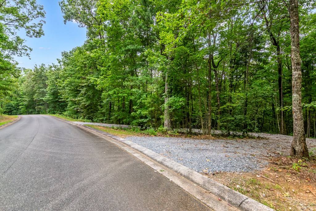 Ellijay, GA 30540,LOT 9-10 Abbott Mill Road