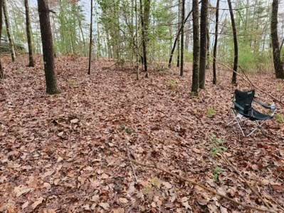 Ellijay, GA 30540,LOT 9-10 Abbott Mill Road