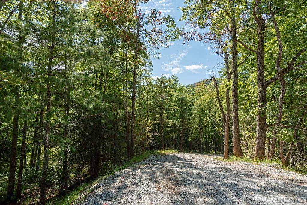 Cashiers, NC 28717,Lot V1 East Ridge Road