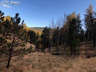 Cripple Creek, CO 80813,212 Wolftone DR