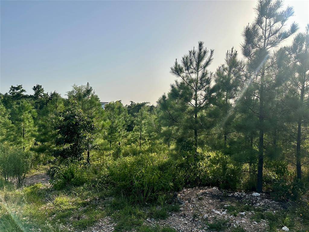 Broken Bow, OK 74728,136 Southern Spruce Trail