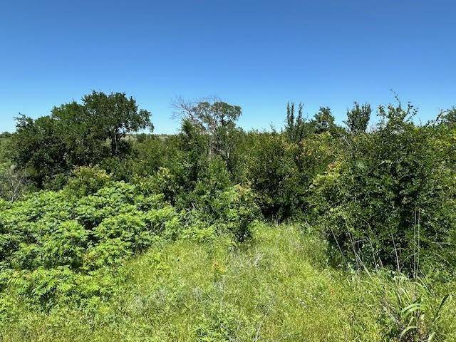 Graford, TX 76449,Lot 623 Caprock Court