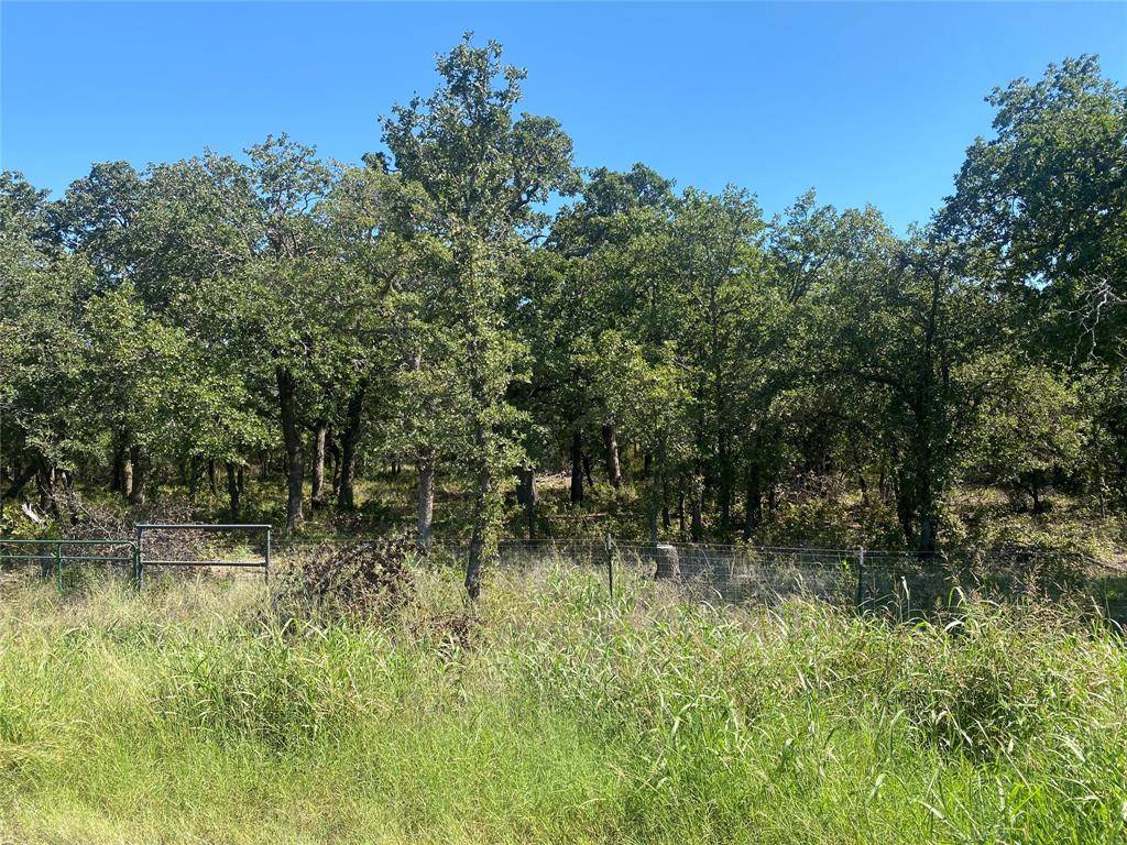 Baird, TX 79504,2144 County Road 527