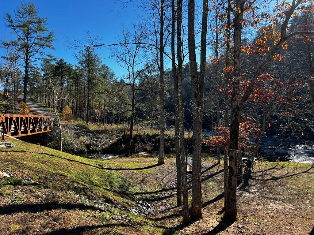 Ellijay, GA 30540,Lot 112 High River Crossing