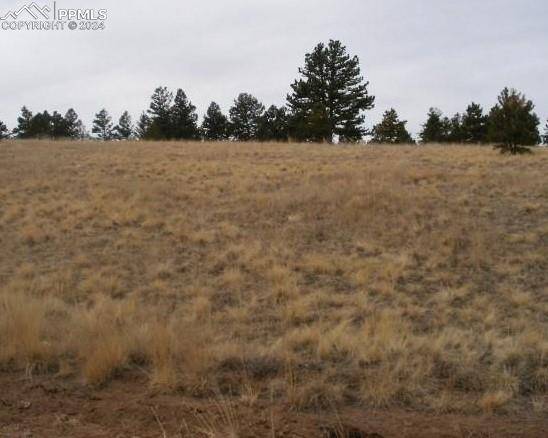 Cripple Creek, CO 80813,271 Moffat CIR