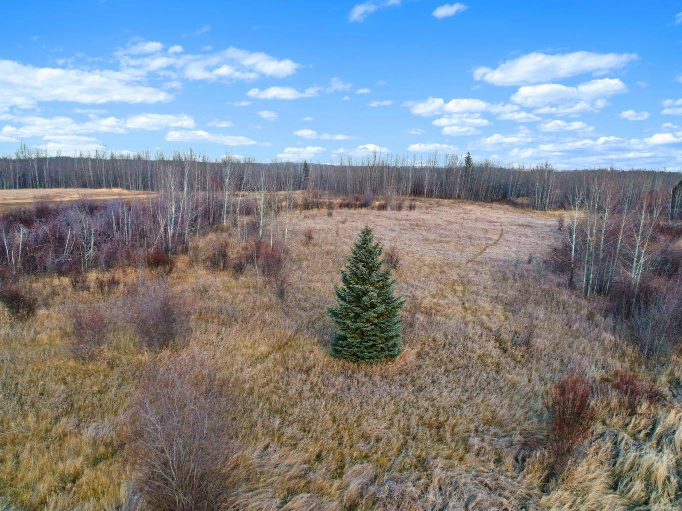 Rural Woodlands County, AB T0E 1N0,Lot 3, Willowside Estates