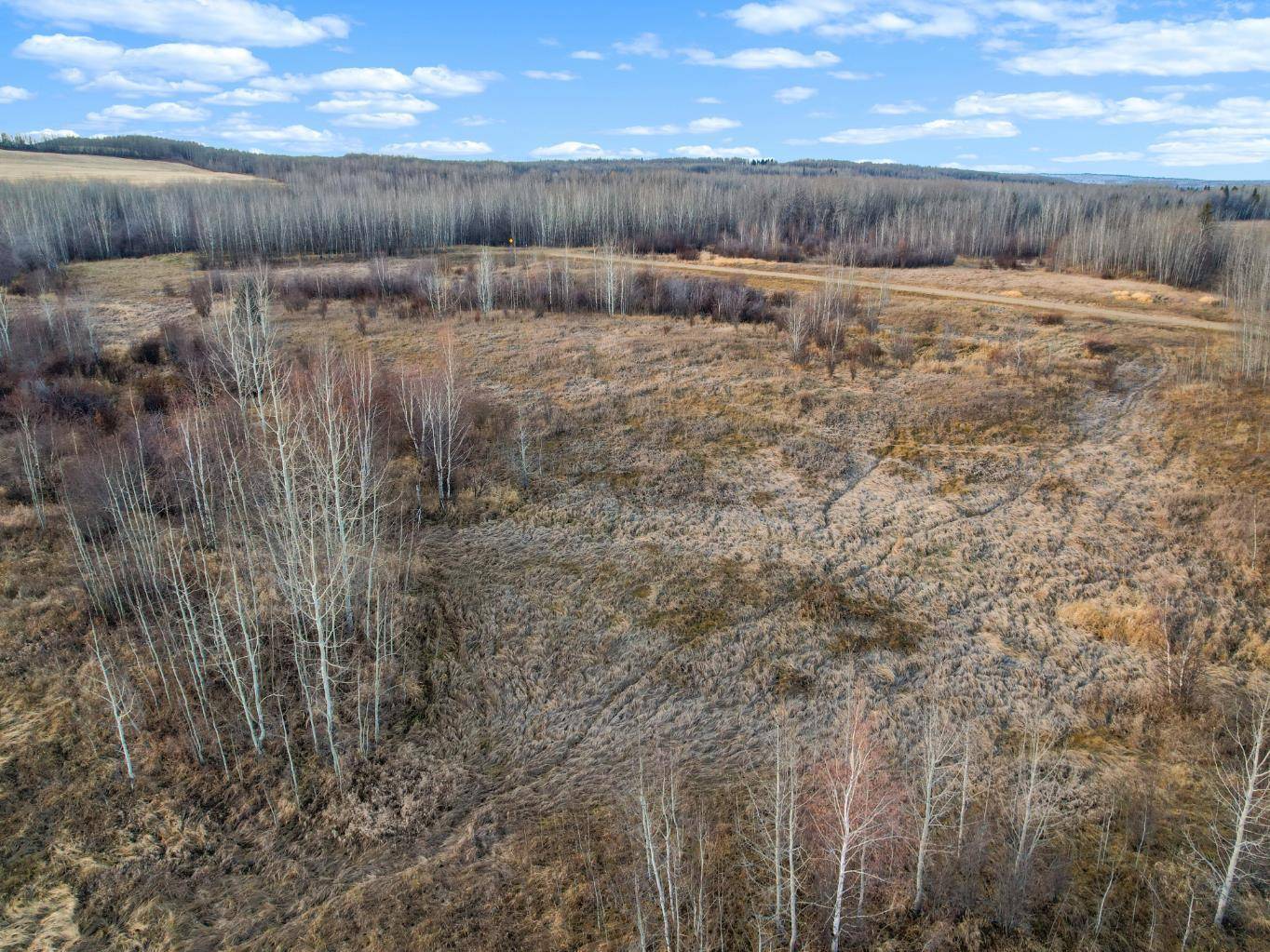 Rural Woodlands County, AB T0E 1N0,Lot 3, Willowside Estates