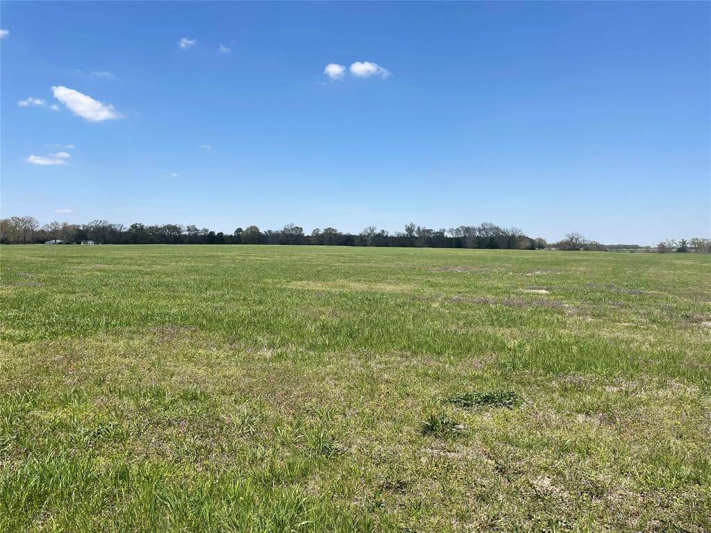 Winnsboro, TX 75494,TBD County Road 2375