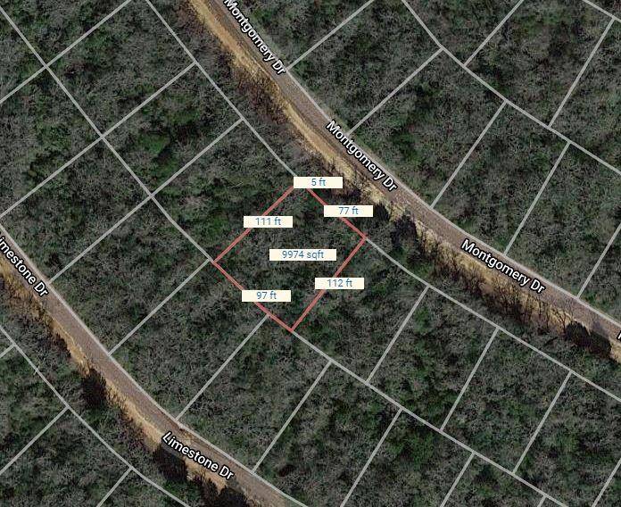 Hilltop Lakes, TX 77871,Lot 14 Montgomery Drive