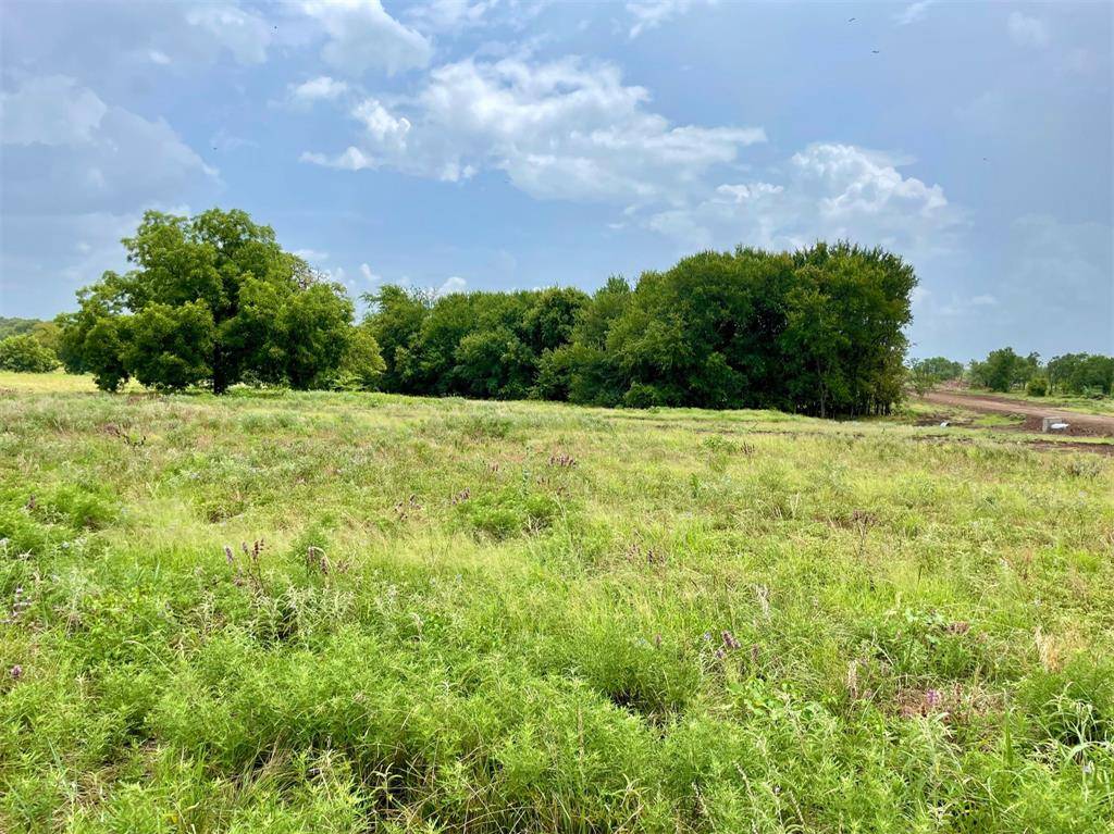 Weatherford, TX 76087,Lot 41 Cartwright Road