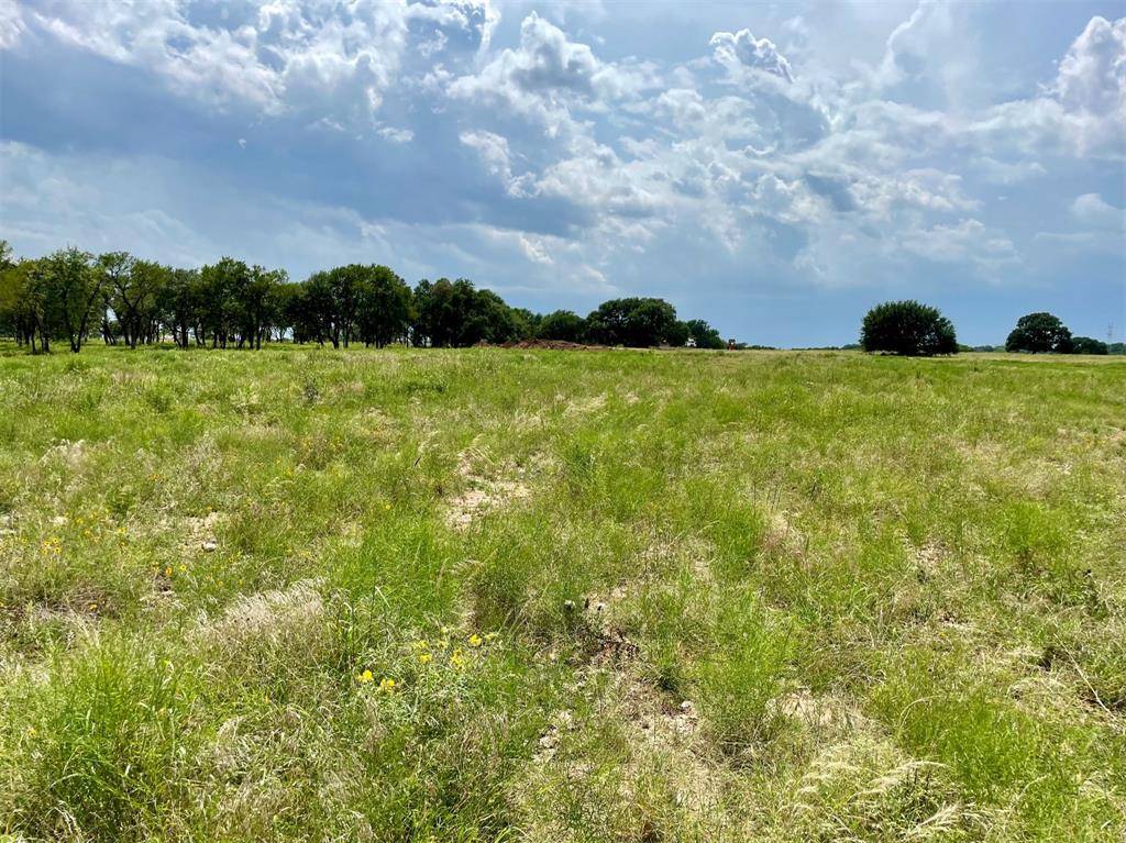 Weatherford, TX 76087,Lot 75 Greene Road