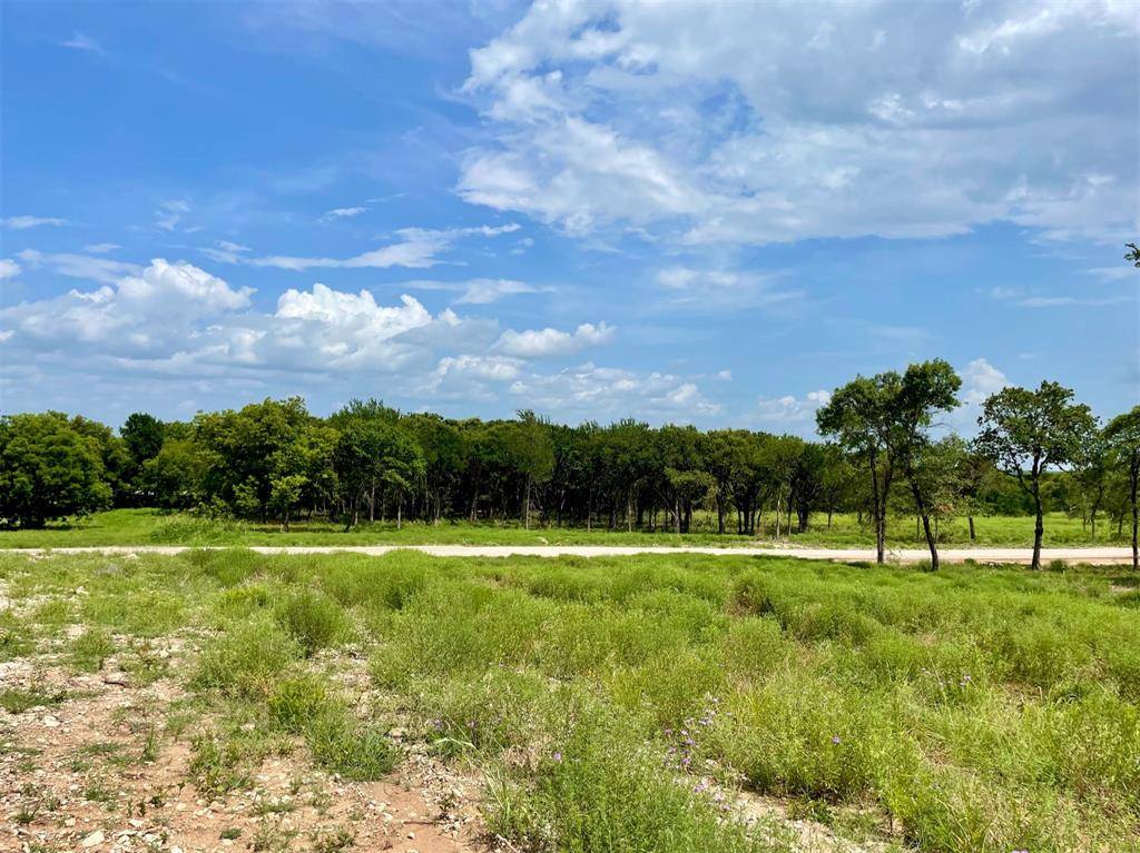 Weatherford, TX 76087,Lot 76 Greene Road