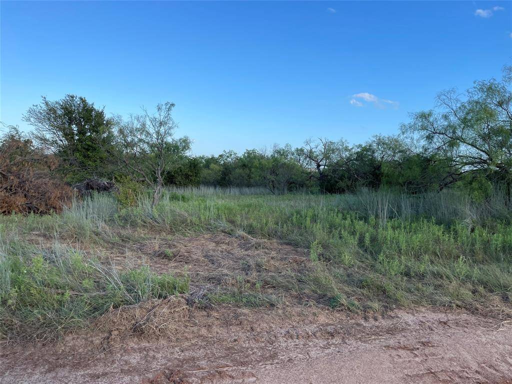 Brock, TX 76087,305 Red Roan Ridge