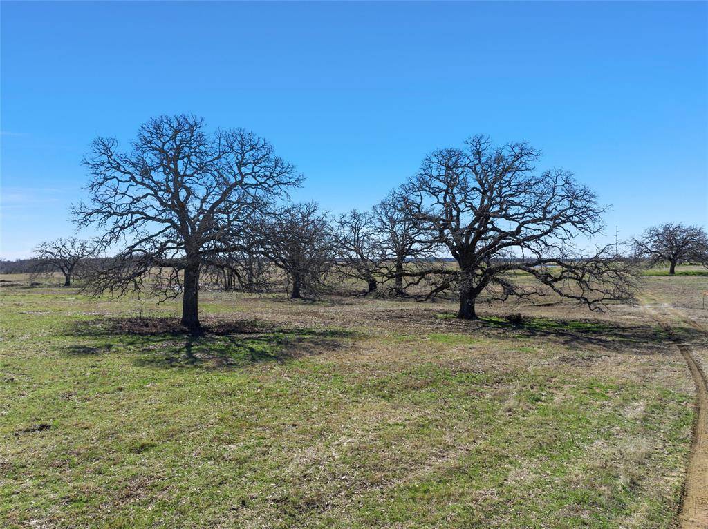 Whitney, TX 76692,TBD 2 HCR 2124 Loop