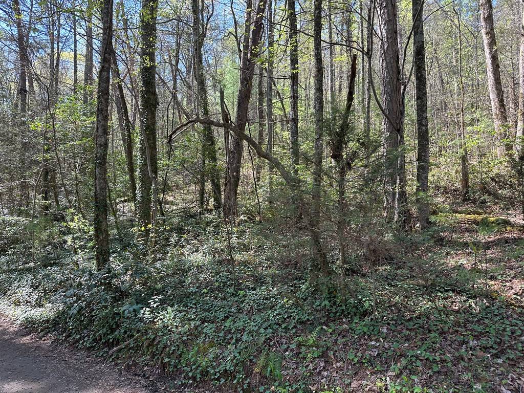 Murphy, NC 28906,TBD Trail Road