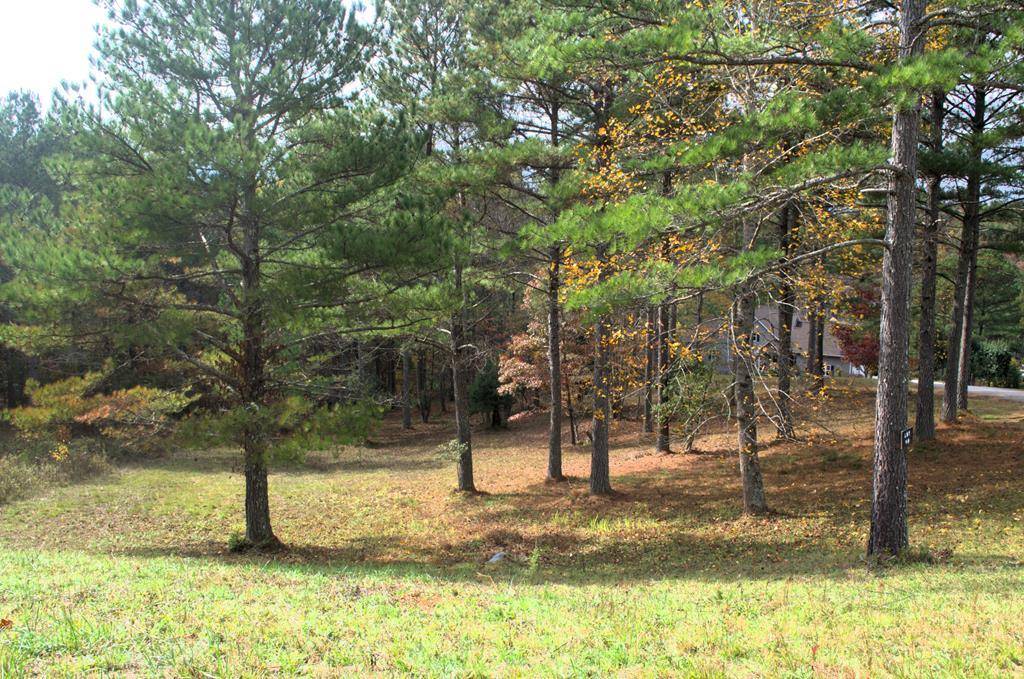 Blairsville, GA 30512,Lot 40 Pinehurst